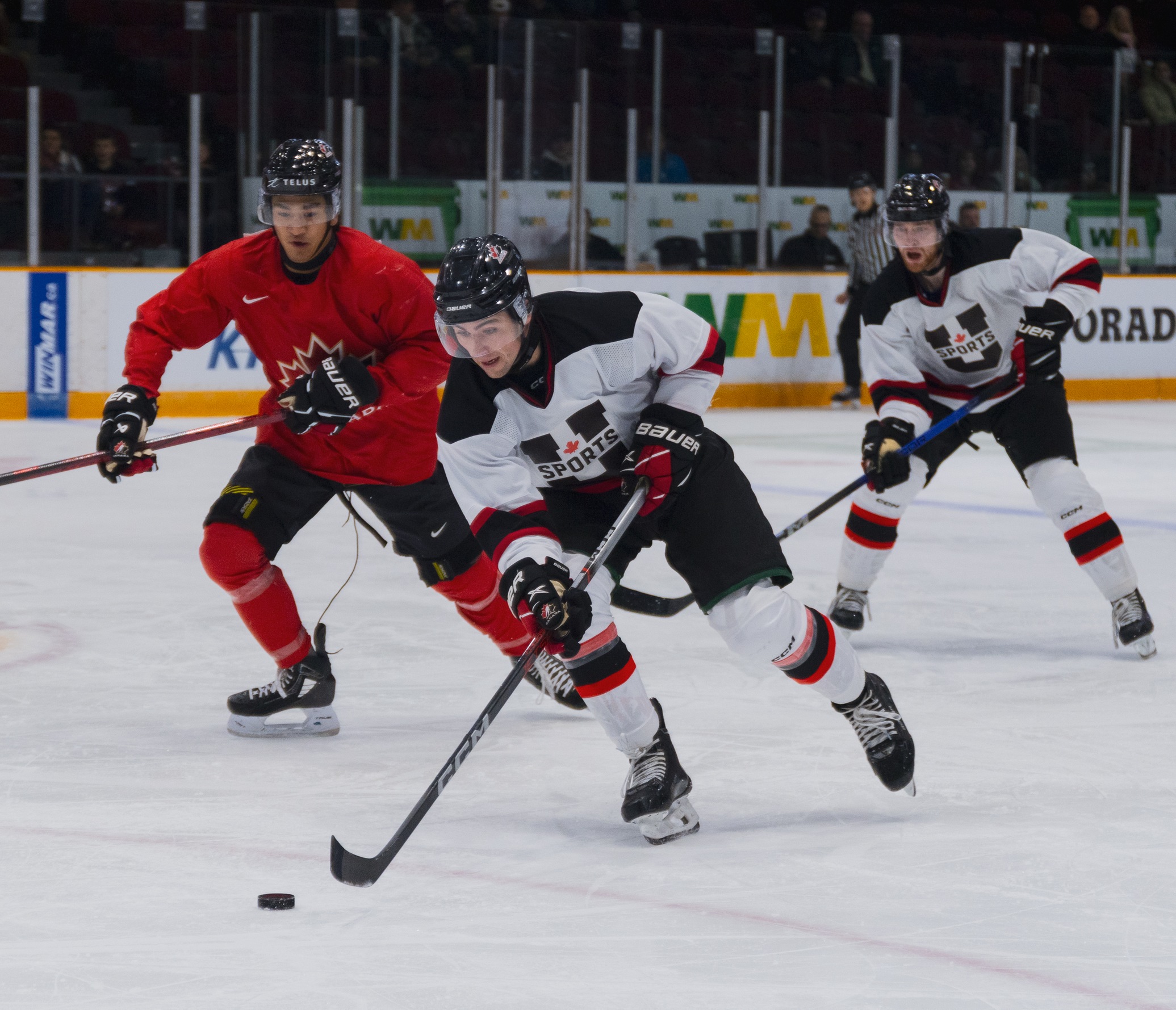 U SPORTS proc&egrave;de &agrave; une r&eacute;forme de l&rsquo;admissibilit&eacute; au hockey masculin
