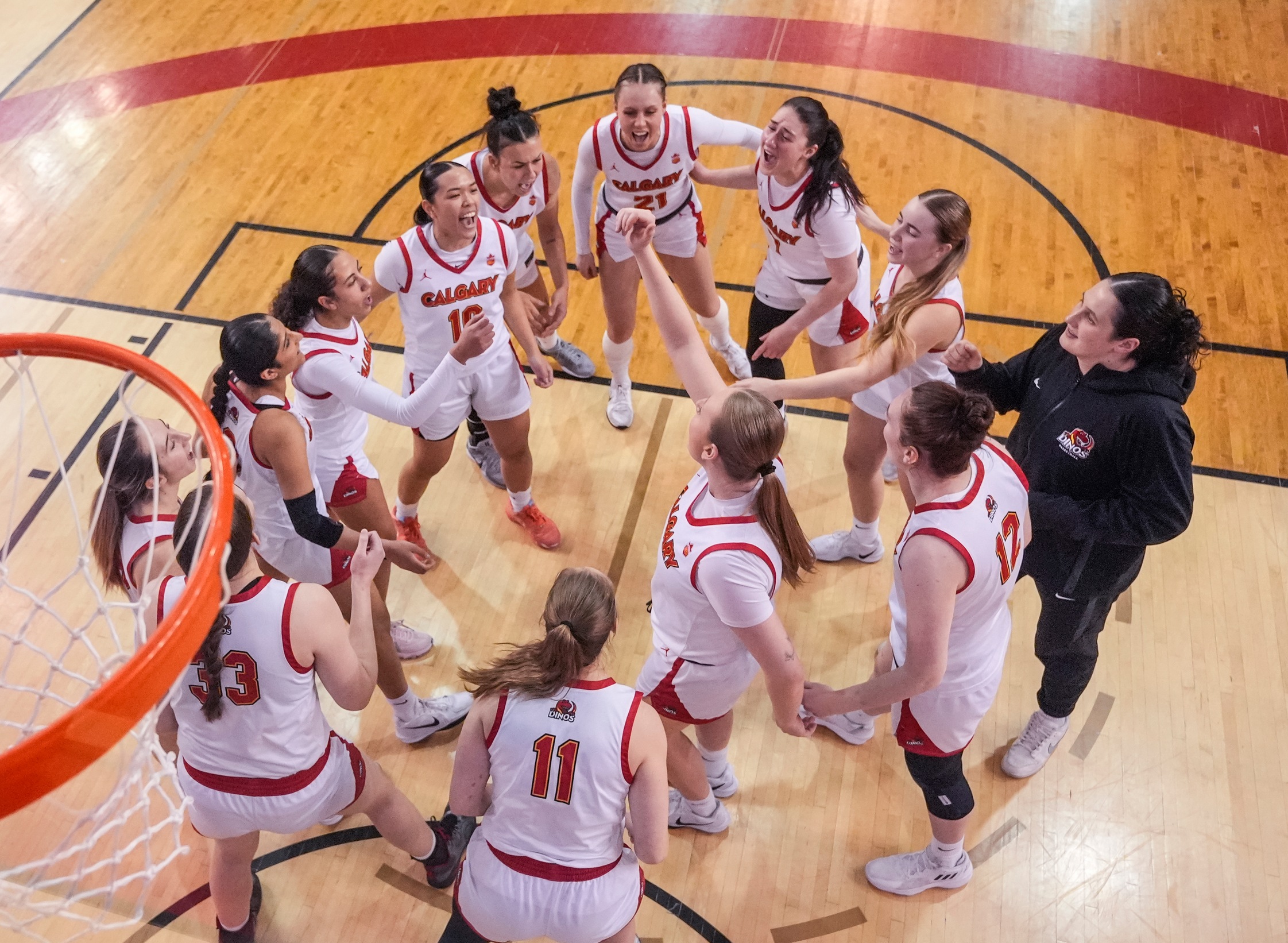 Calgary domine en route vers la victoire contre McGill en quarts de finale du tournoi 8 Ultime