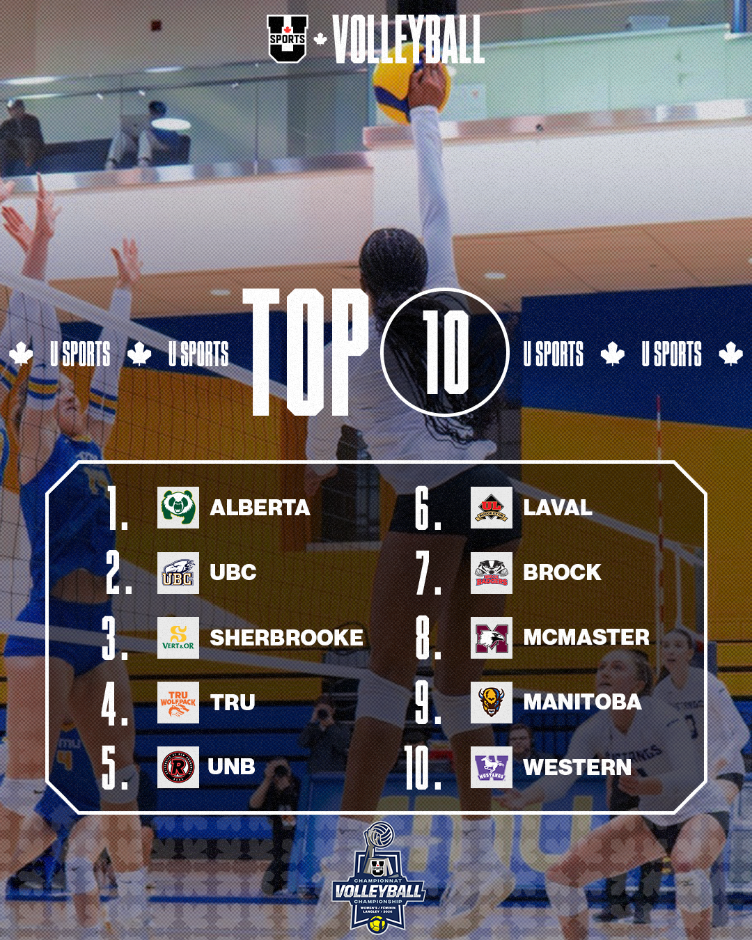 Classements de volleyball f&eacute;minin U SPORTS 2026 - 26 janvier